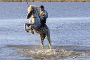 camargue_17-06-10_20-16-16_316.jpg