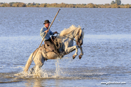 camargue_17-06-10_20-16-35_317.jpg