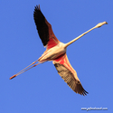 camargue_17-06-10_20-30-54_360.jpg