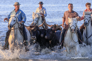 camargue_17-06-10_20-52-23_483.jpg