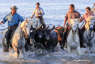 camargue_17-06-10_20-52-25_485.jpg