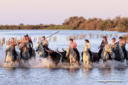 camargue_17-06-10_20-54-33_502.jpg