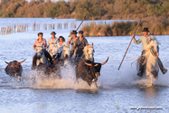 camargue_17-06-10_20-54-36_506.jpg