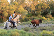 camargue_17-06-10_20-54-58_523.jpg