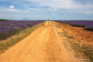 Valensole_15-06-26_17-11-32_032.jpg