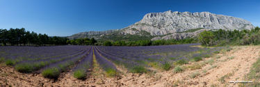 sainte_victoire_15-06-19_17-00-15_011.jpg