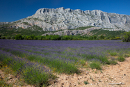 sainte_victoire_15-06-19_17-04-22_048.jpg