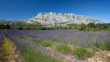 sainte_victoire_15-06-19_17-09-06_050.jpg