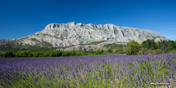 sainte_victoire_15-06-19_17-09-25_051.jpg