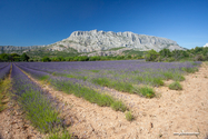 sainte_victoire_15-06-19_17-10-19_053.jpg