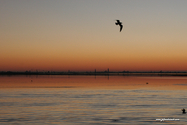 venise_07-12-31_16-59-27-2.jpg