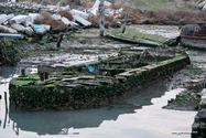 venise_07-12-30_16-33-51-2.jpg