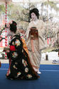 japon_kyoto__08-02-25-03-17-13-190.jpg