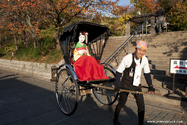 kyoto_10-11-19_15-03-50_815.jpg