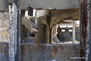 hashima_17-04-14_10-55-16_035.jpg