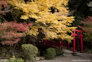 beppu_10-11-23_13-25-30_022.jpg