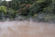 beppu_10-11-23_15-04-26_080.jpg