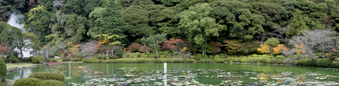 beppu_pano.jpg