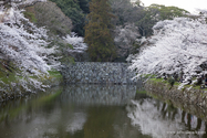 hikone_13-04-05_16-26-27_011.jpg