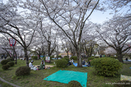 hikone_13-04-05_16-29-54_012.jpg