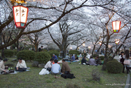 hikone_13-04-05_17-24-28_014.jpg