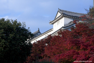 himeji_10-11-26_16-01-23_007.jpg