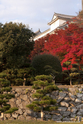 himeji_10-11-26_16-01-48_008.jpg