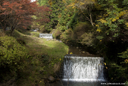 kyoto_10-11-18_13-04-02_648.jpg