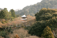 japon_kyoto_08-02-24-07-58-05-008.jpg