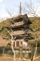 japon_kyoto_08-02-24-08-19-35-018.jpg