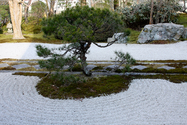 japon_kyoto_08-02-28-16-03-17-068.jpg