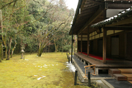 japon_kyoto_08-02-26-14-30-11-072.jpg