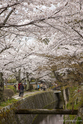 Kyoto_13-04-03_14-57-34_025.jpg