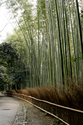 japon_kyoto_08-02-27-16-11-36-108.jpg