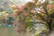 kyoto_10-11-14_14-04-42_184.jpg