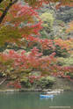 kyoto_10-11-14_14-05-12_185.jpg