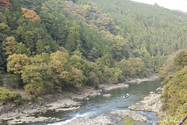 kyoto_10-11-14_15-29-58_221.jpg