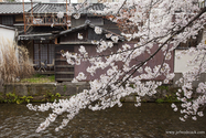 Kyoto_13-04-02_07-31-12_135.jpg