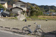 kyoto_10-11-16_13-52-14_427.jpg