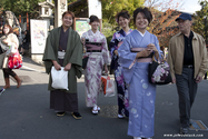 kyoto_10-11-19_14-25-06_790.jpg