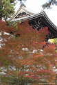 kyoto_10-11-16_09-51-18_374.jpg