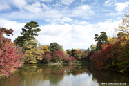 kyoto_10-11-16_11-13-07_387.jpg