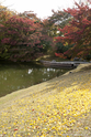 kyoto_10-11-16_11-13-56_389.jpg