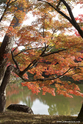 kyoto_10-11-16_11-15-13_393.jpg