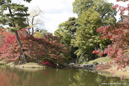 kyoto_10-11-16_11-20-49_397.jpg