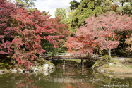 kyoto_10-11-16_11-30-08_410.jpg