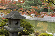 kyoto_10-11-16_11-32-13_412.jpg