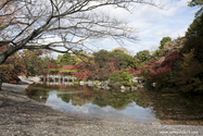 kyoto_10-11-16_11-38-32_414.jpg