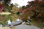 kyoto_10-11-16_11-54-15_422.jpg