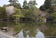 Kyoto_13-04-04_08-53-46_068.jpg